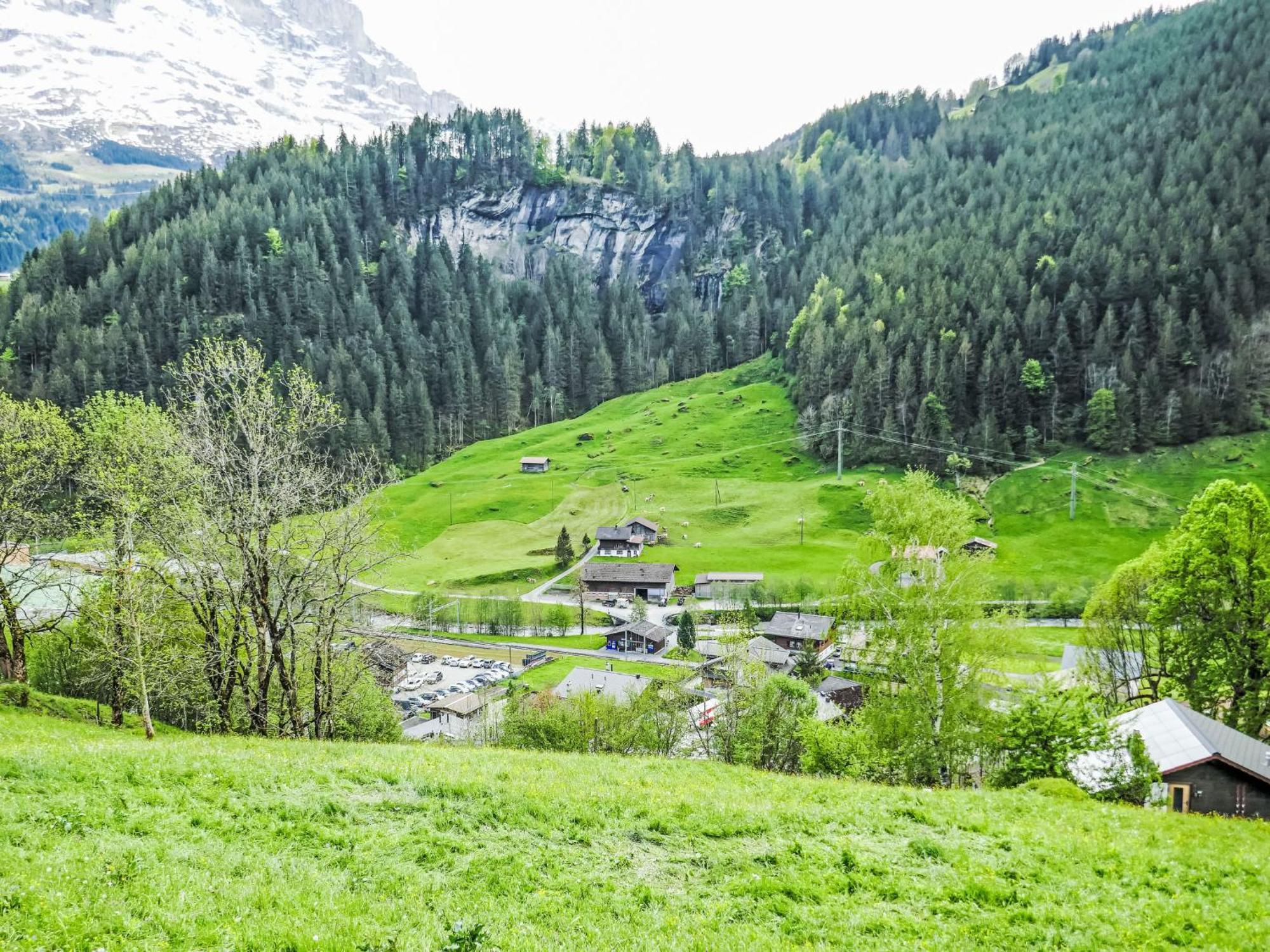 Apartment Chalet Auf Dem Vogelstein-1 By Interhome Grindelwald Kültér fotó